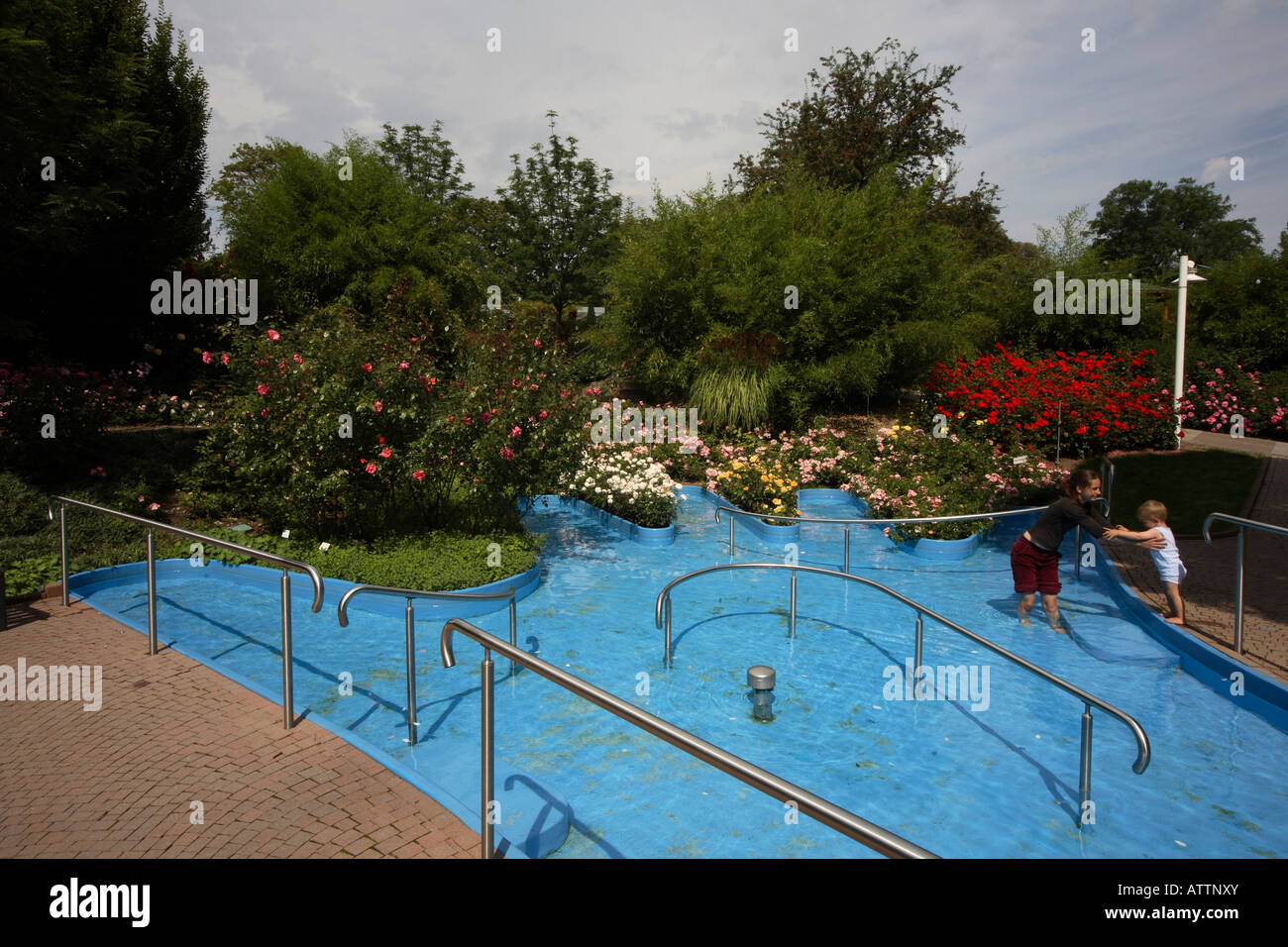 Erfurt, EGAPark, Rosengarten, Kneippbecken Stockfotografie Alamy