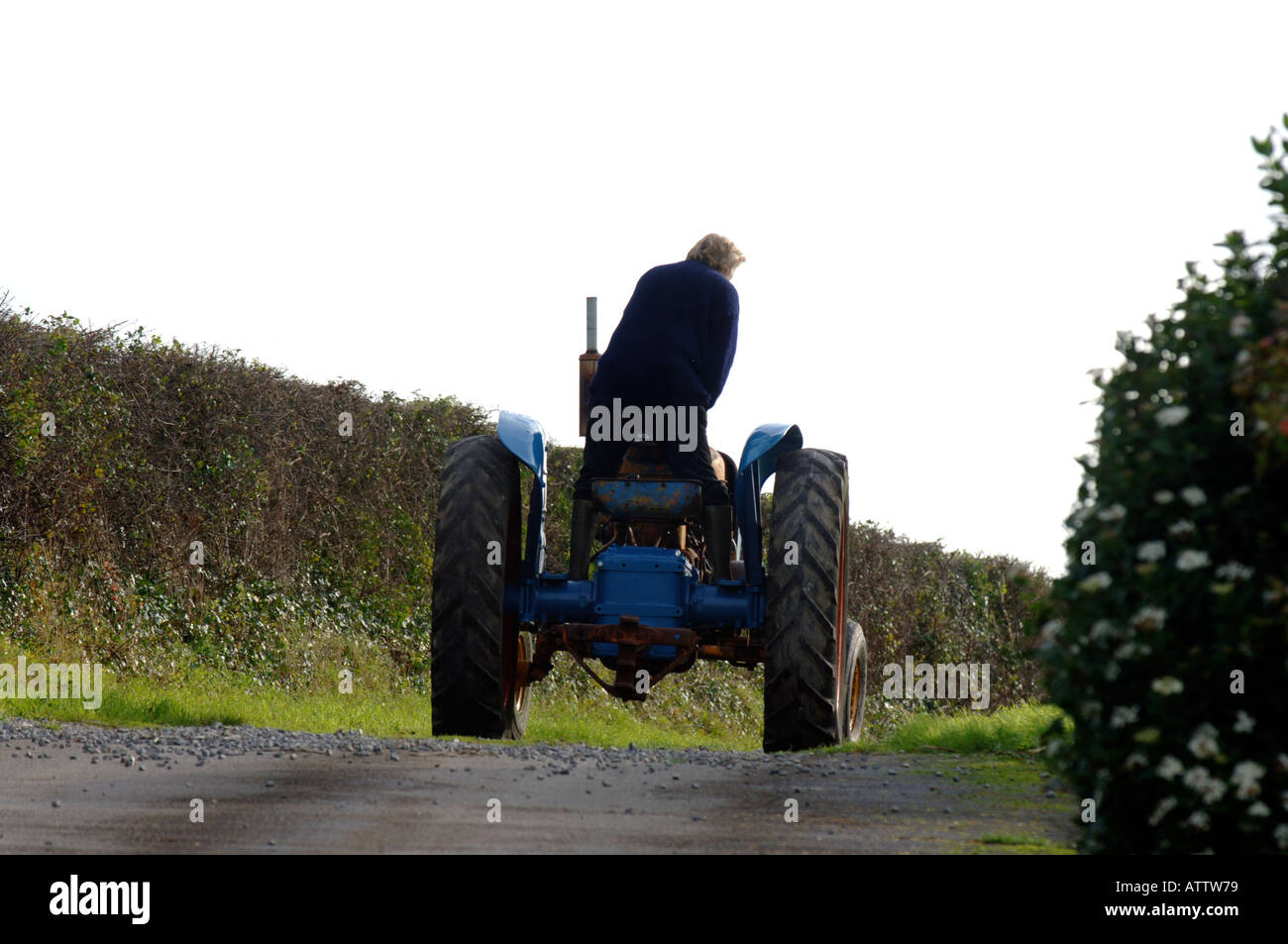 Mann einen Oldtimer-Traktor fahren Stockfoto