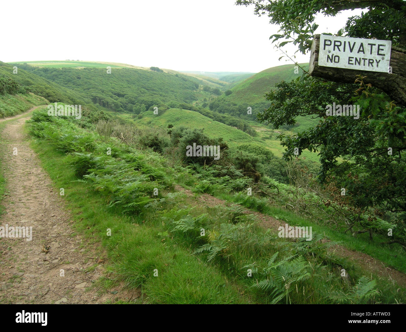 private verlassenen Straße in der Nähe von Oare in Devon Landschaft führt Stockfoto