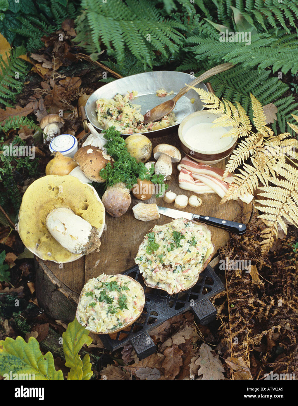 Gefüllte Steinpilze Boletus edulis Stockfoto