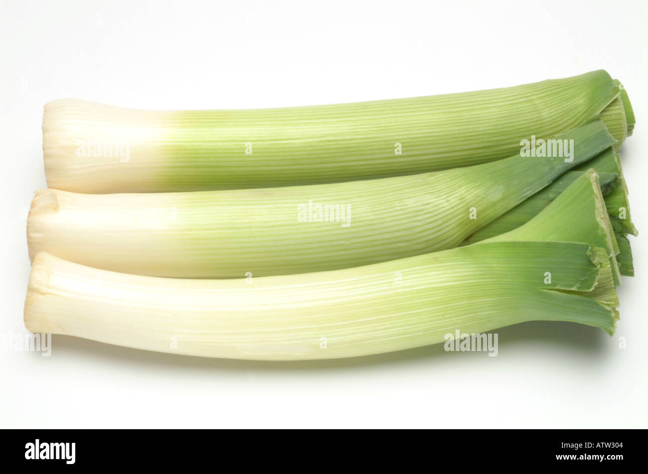 frische Zwiebel Lauch gereinigt und gestutzt weißes Studio-Hintergrund Stockfoto