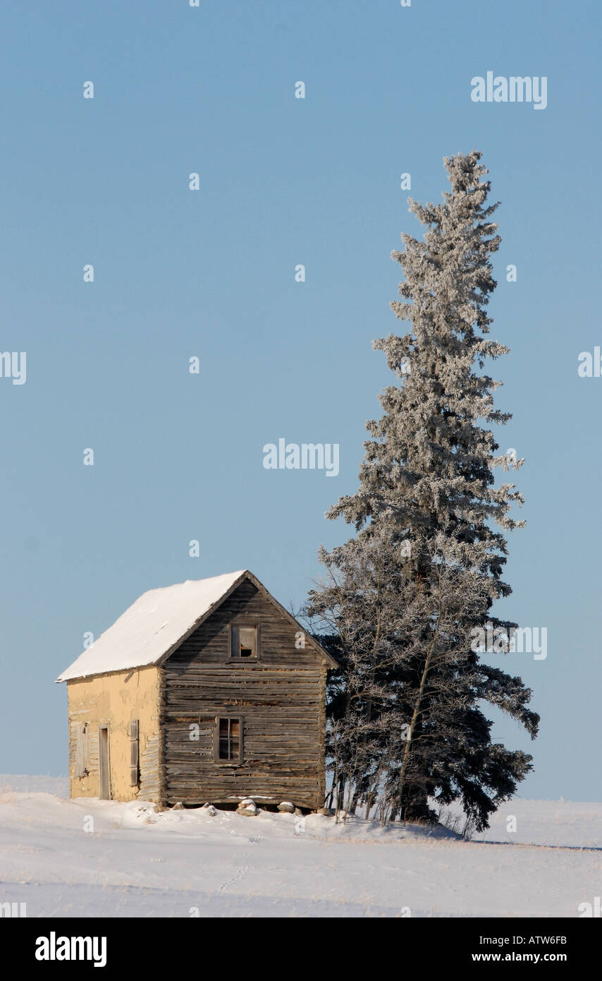 Altes Gehöft auf Seite des Hügels in malerischen Saskatchewan Kanada Stockfoto