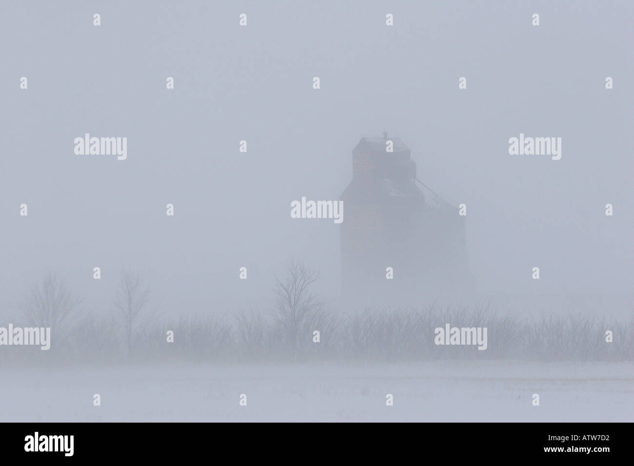 Ein Whiteout während Blizzard im malerischen Saskatchewan Kanada Stockfoto