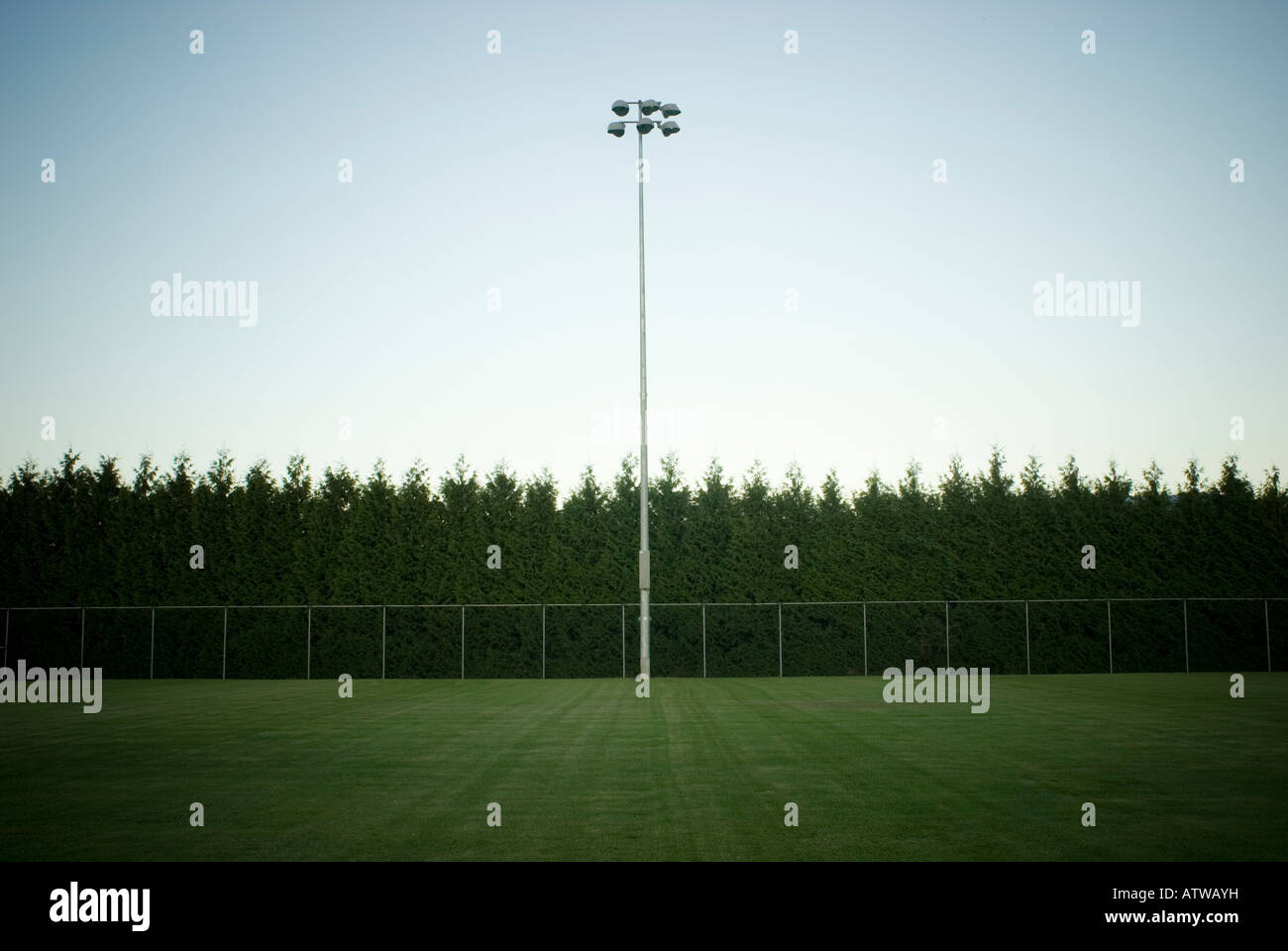 Sport Bereich Lichtmast mit Bäume und Himmel Stockfoto