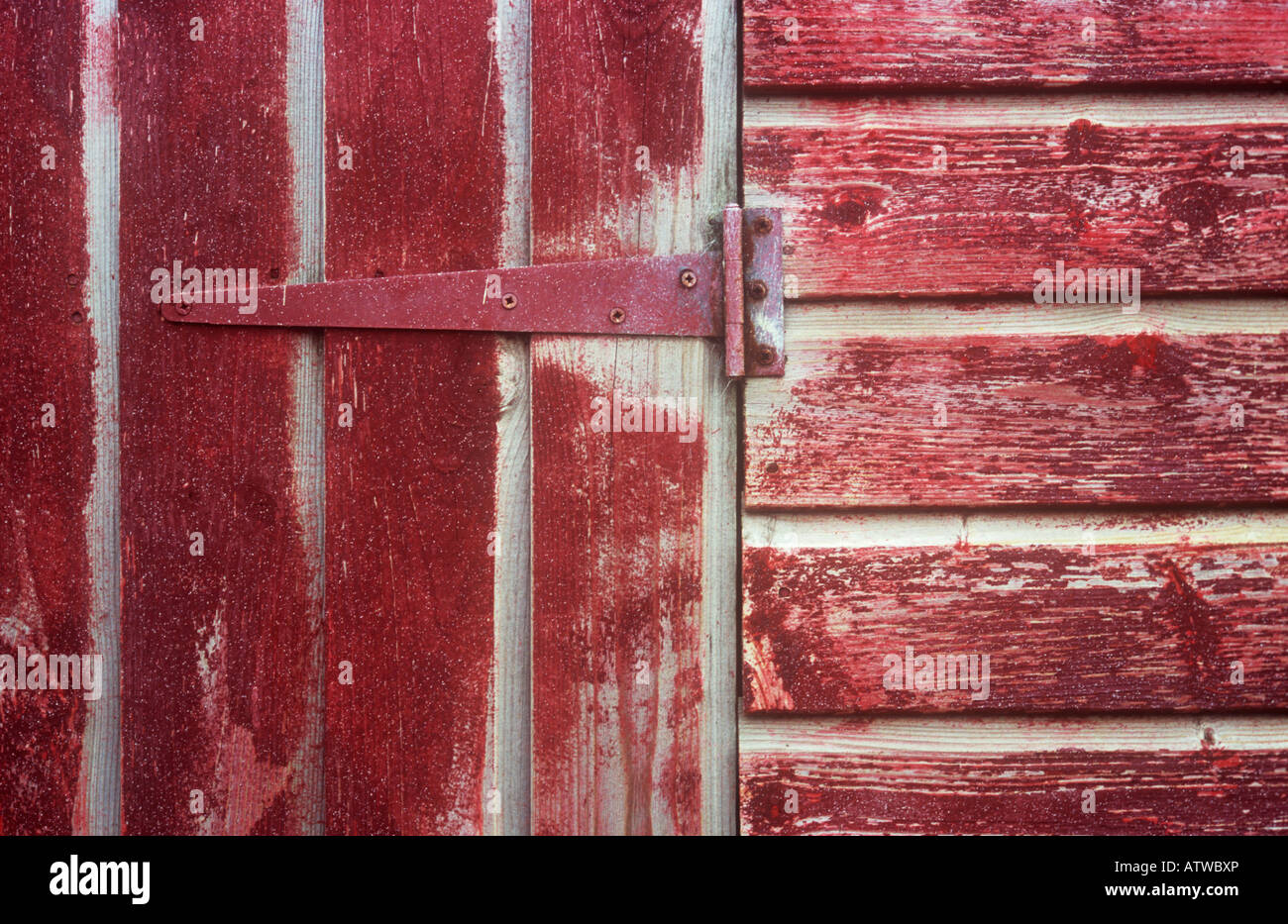 Detail der Tür und Wand der Holzhütte oder Strand-Hütte oder Schuppen einmal scharlachrot gefärbt aber jetzt stark verwittert Stockfoto