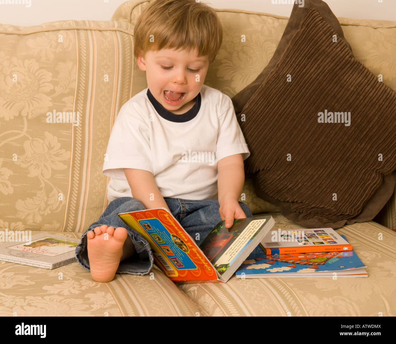 Ein zweijähriger Junge, der glücklich darin vertieft ist, ein Bilderbuch zu lesen, auf dem Sofa sitzend Stockfoto