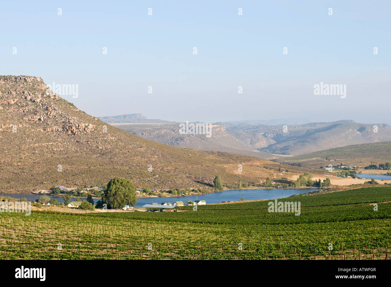 Weinberge und Bewässerung in der Nähe von Clanwilliam Südafrika Stockfoto