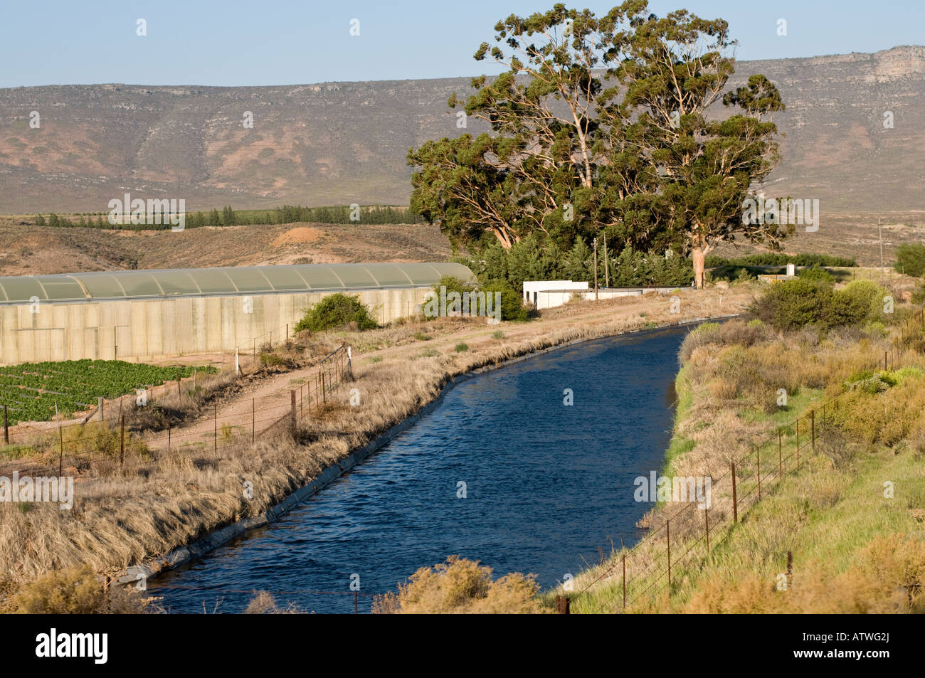 Bewässerung in der Nähe von Clanwilliam Südafrika Stockfoto