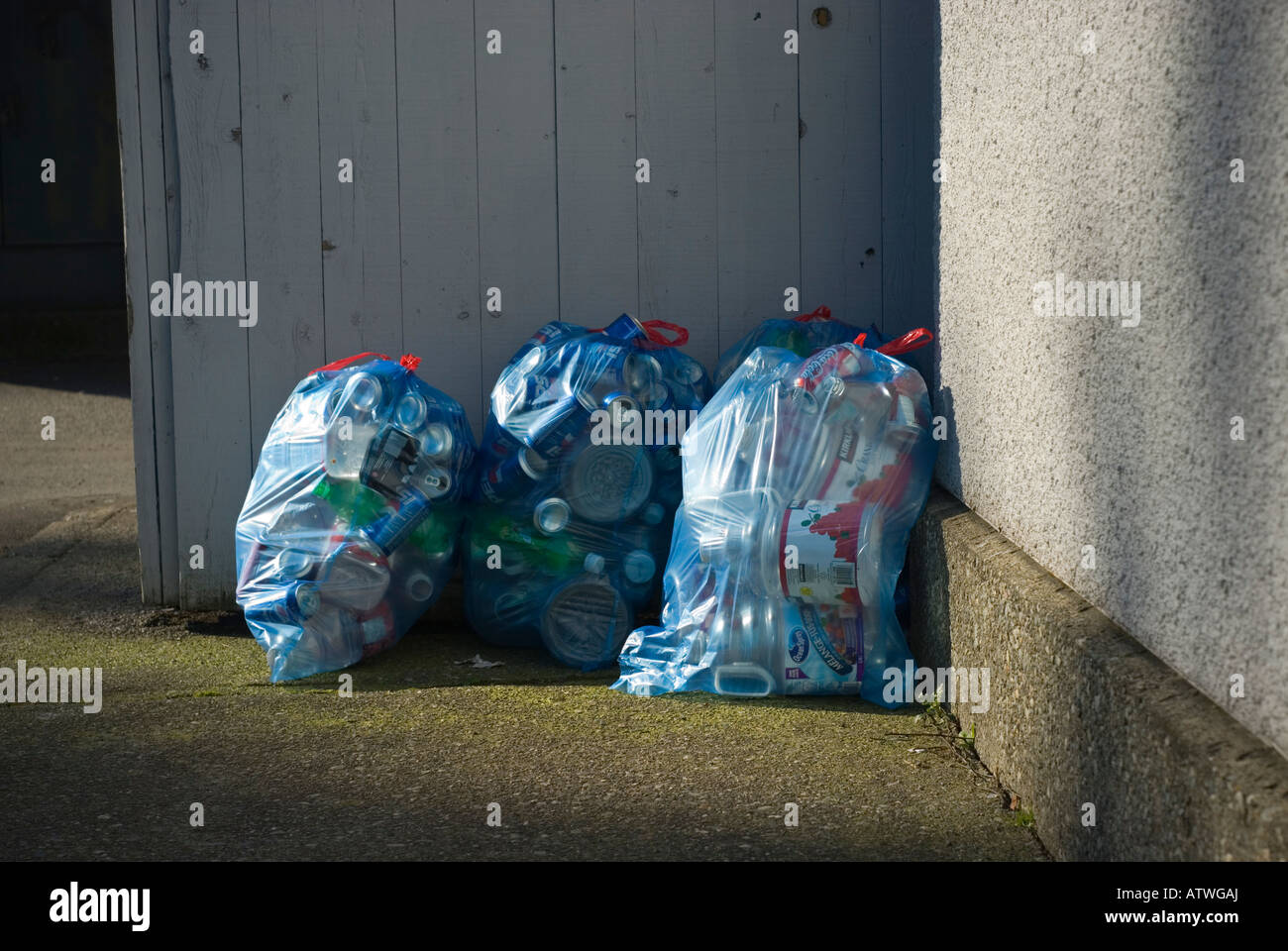 Blaue Recycling Taschen voller Flaschen und Dosen warten auf Abholung Stockfoto
