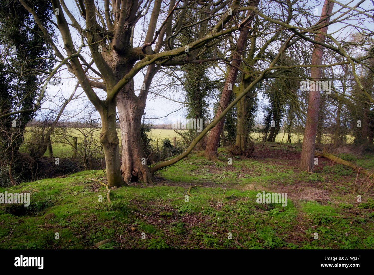 Dunmucky Rath in North County Dublin Irland Stockfoto