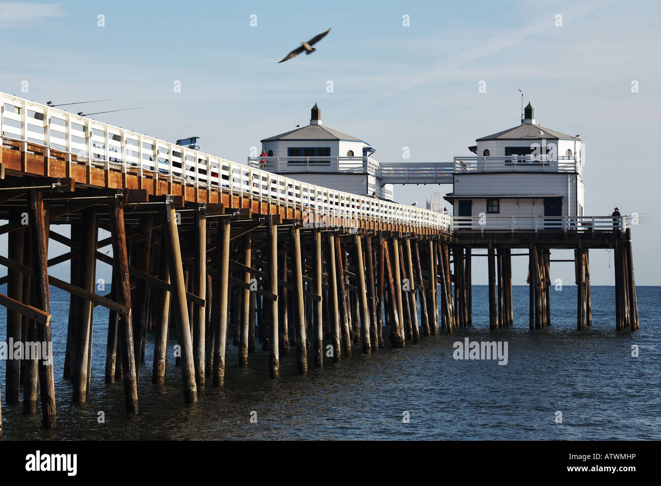 Malibu Pier mit Seevögeln auf dem Pacific Coast Highway, Malibu, Los Angeles County, Kalifornien Stockfoto