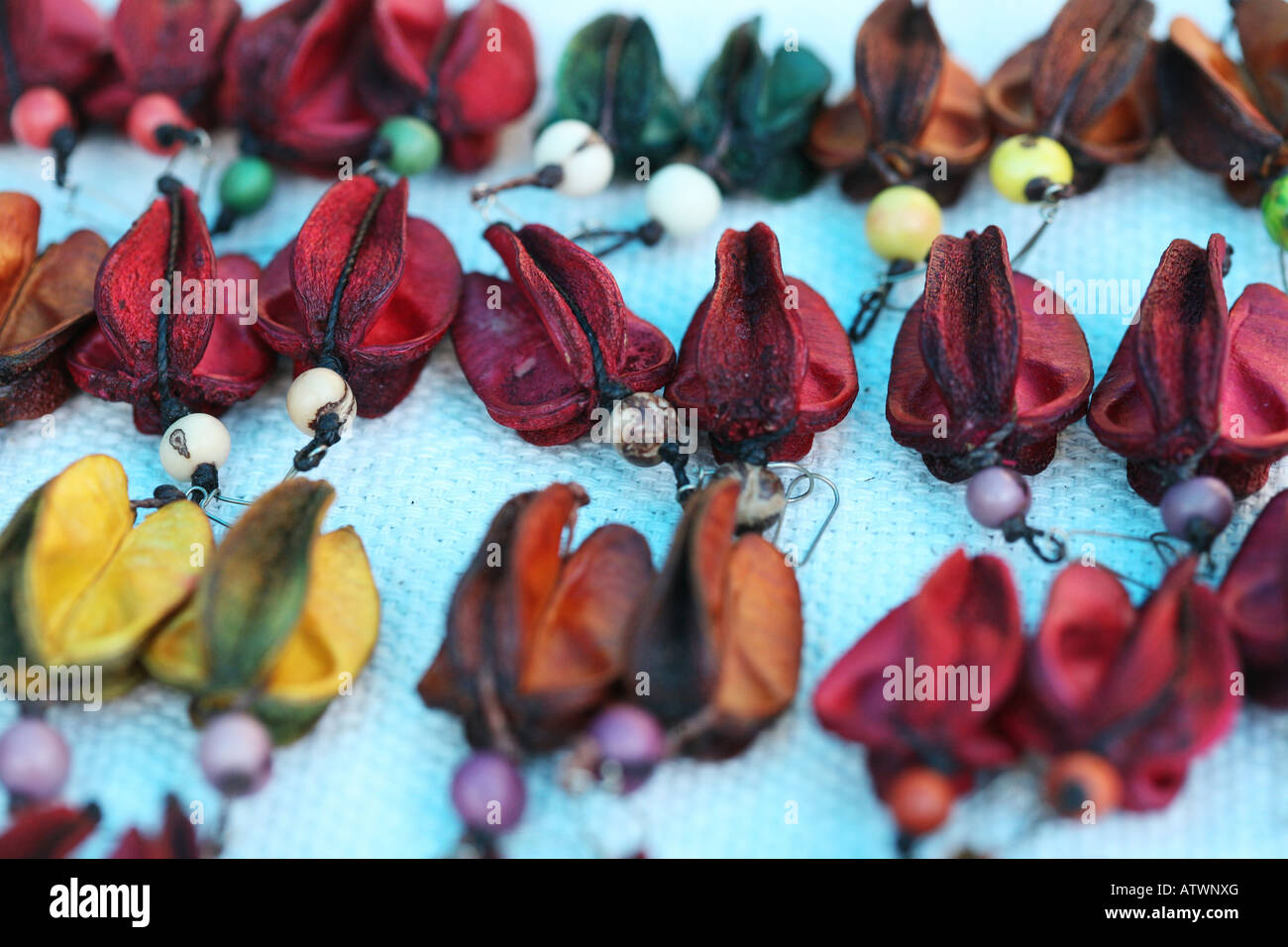 Leuchtend bunte Schmuck mit Ohrringe von Früchten und Samen in Straßenmarkt, Ipanema, Rio De Janeiro, Brasilien, Südamerika Stockfoto