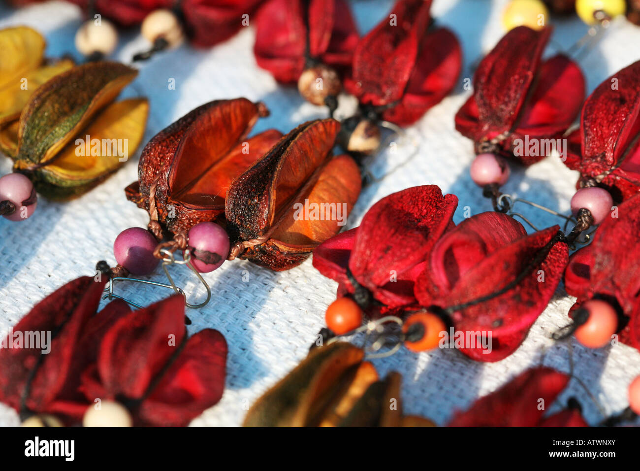 Leuchtend bunte Schmuck mit Ohrringe von Früchten und Samen in Straßenmarkt, Ipanema, Rio De Janeiro, Brasilien, Südamerika Stockfoto