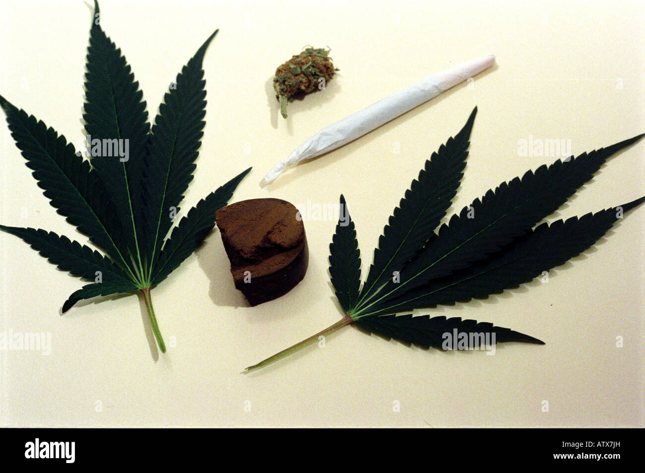 Cannabis in zahlreichen verschiedenen Formen. Stockfoto