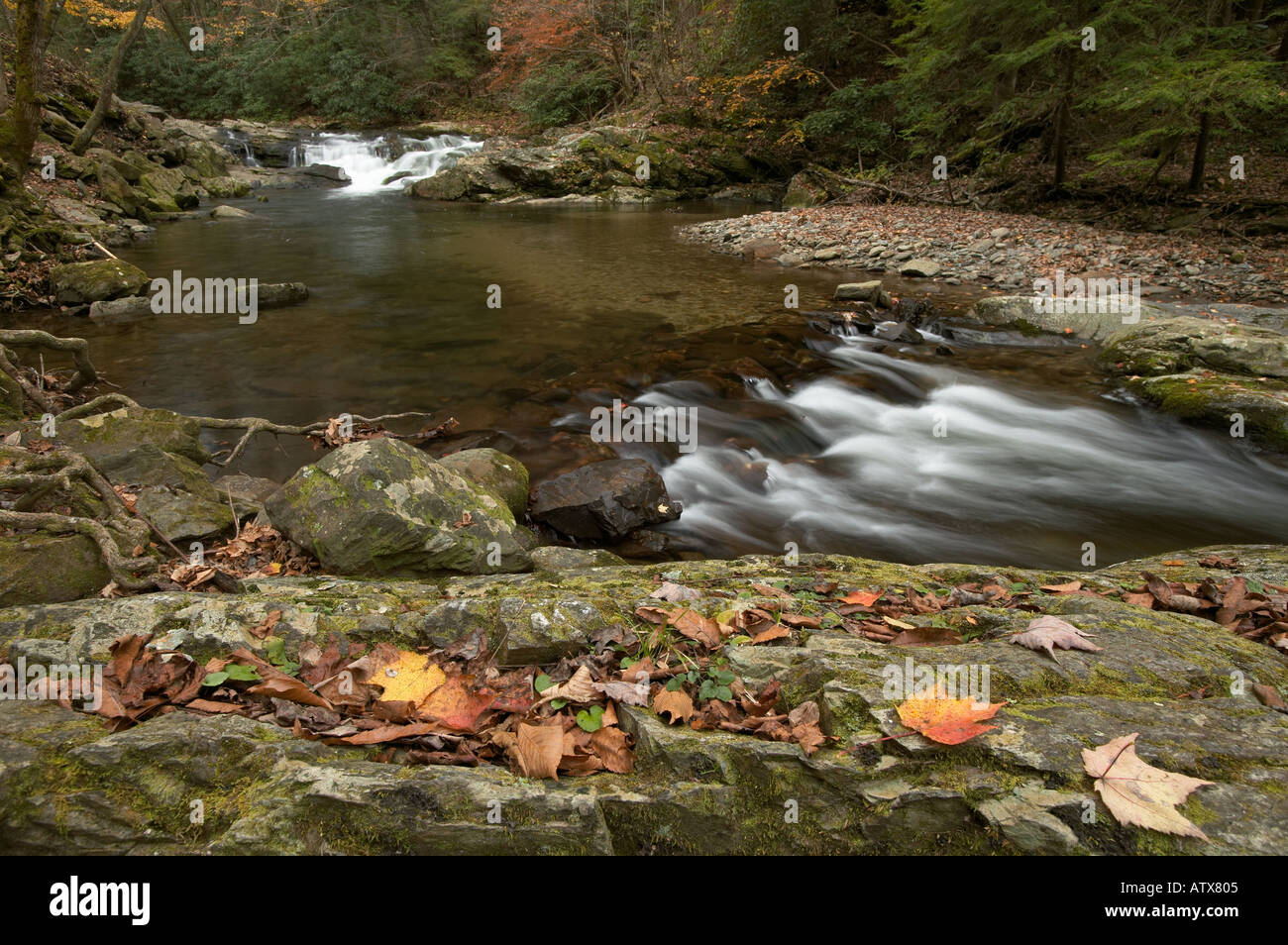 Wasserfall am Fluss im Herbst mit Laub auf Felsen Great-Smoky-Mountains-Nationalpark, Wyoming Stockfoto