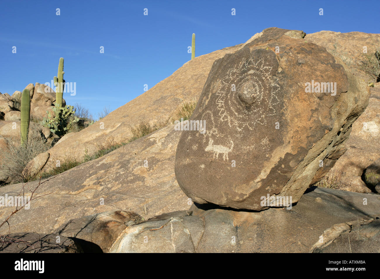 Schwanger Sun Petroglyph Catalina AZ Stockfoto