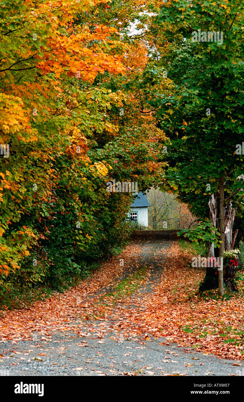 Cottage Leben Stockfoto