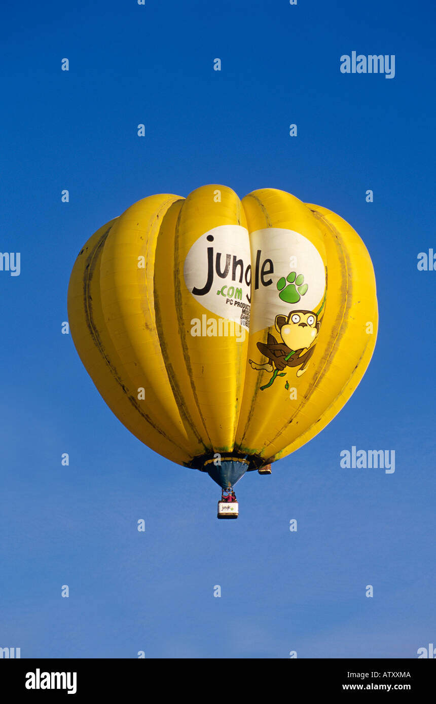 Dschungel-Dot-Com-Heißluftballon Stockfoto