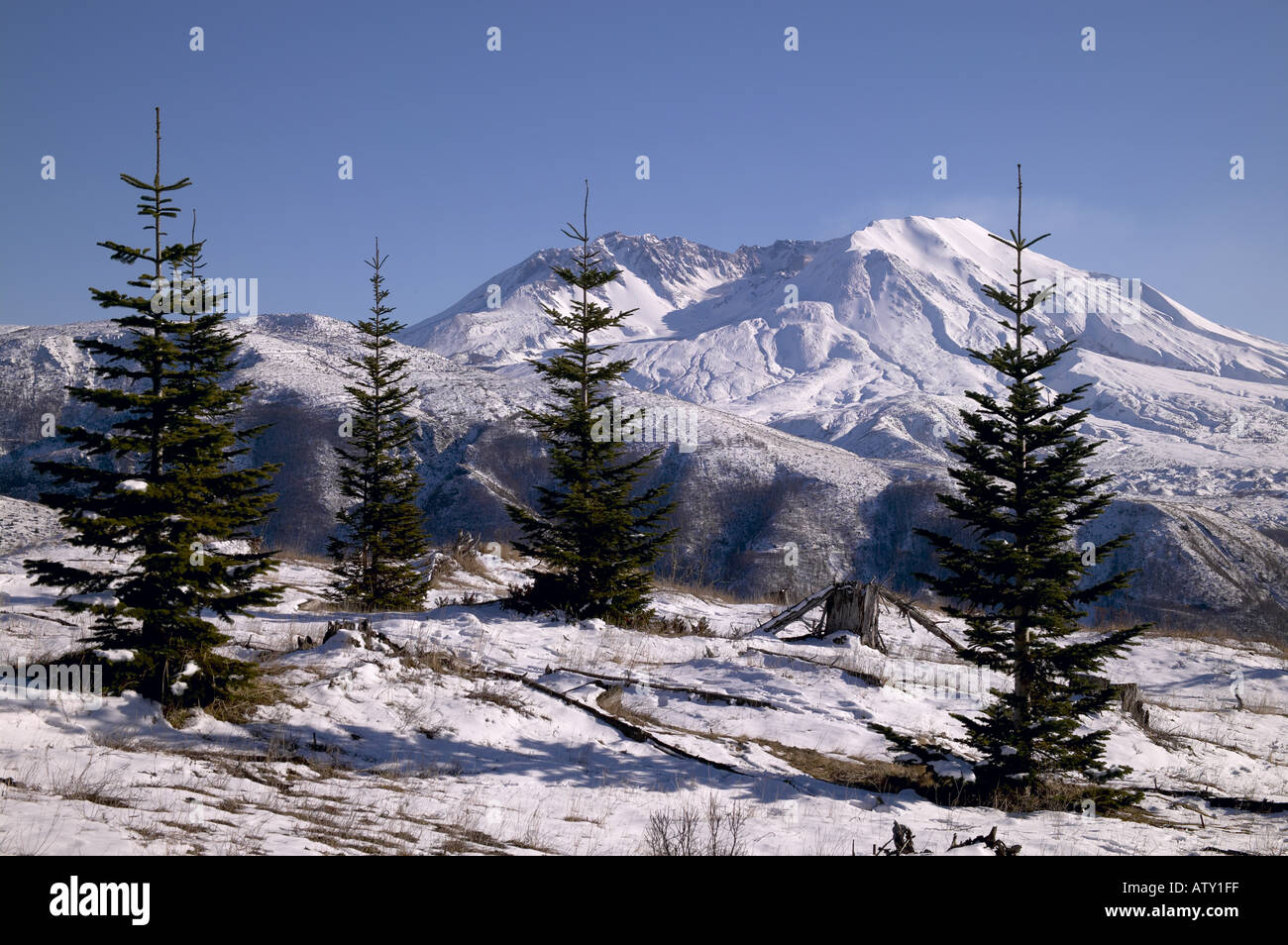 Mount St. Helens Winter aus Coldwater Ridge Cowlitz County Washington USA Stockfoto