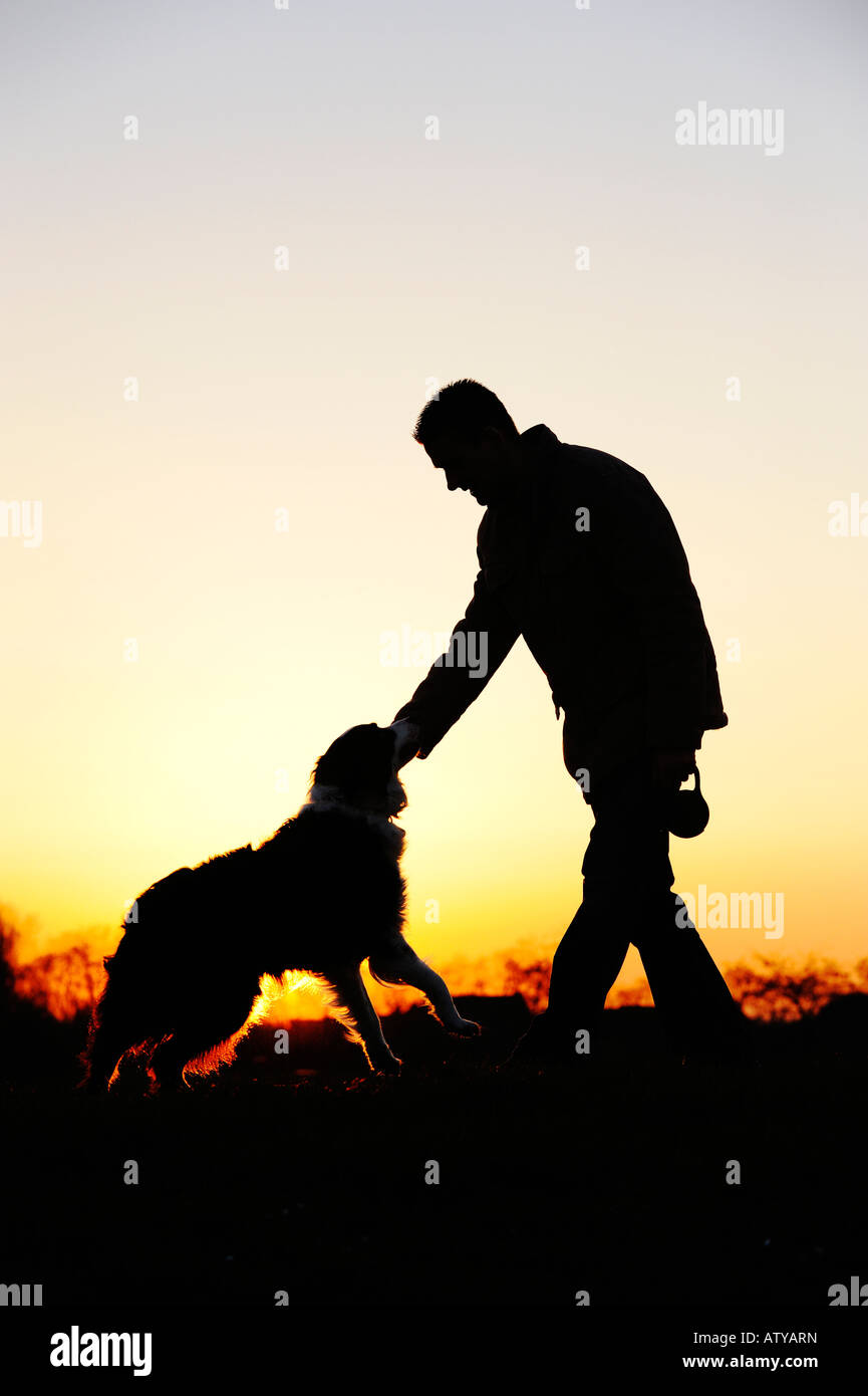 Border Collie und Besitzer bei Sonnenuntergang. Stockfoto