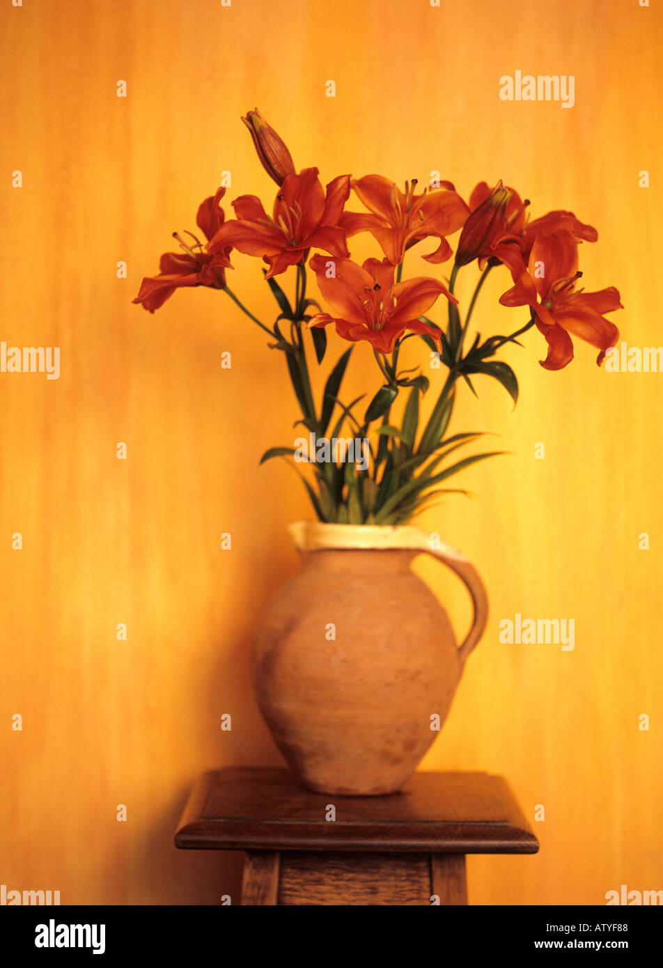 Rote Lilien in einem Terrakotta-Krug Stockfoto