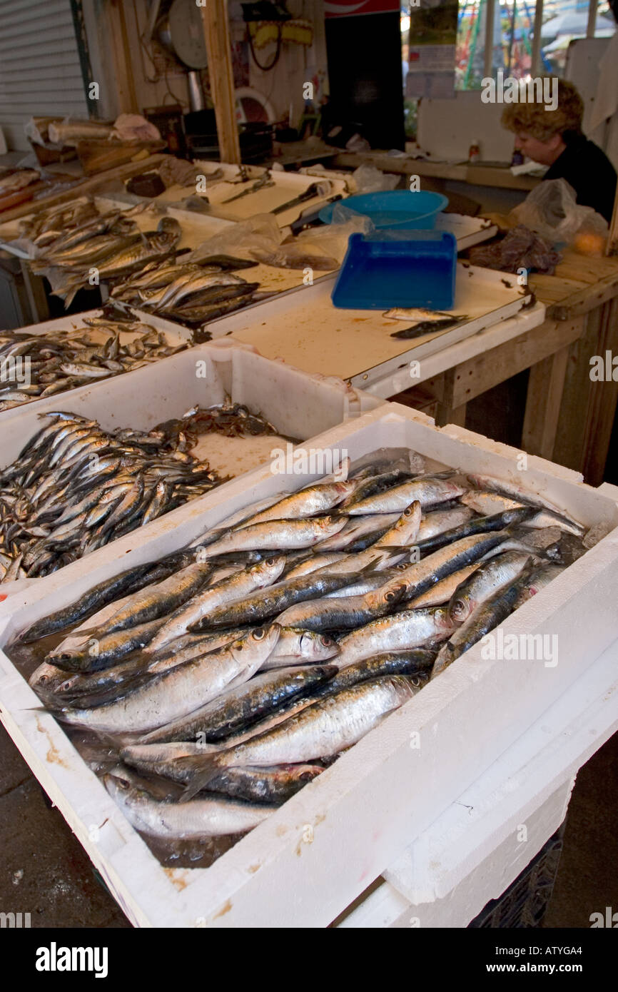 Frischer Fisch Mercado Bolhão kommunalen Markt Porto Portugal Stockfoto