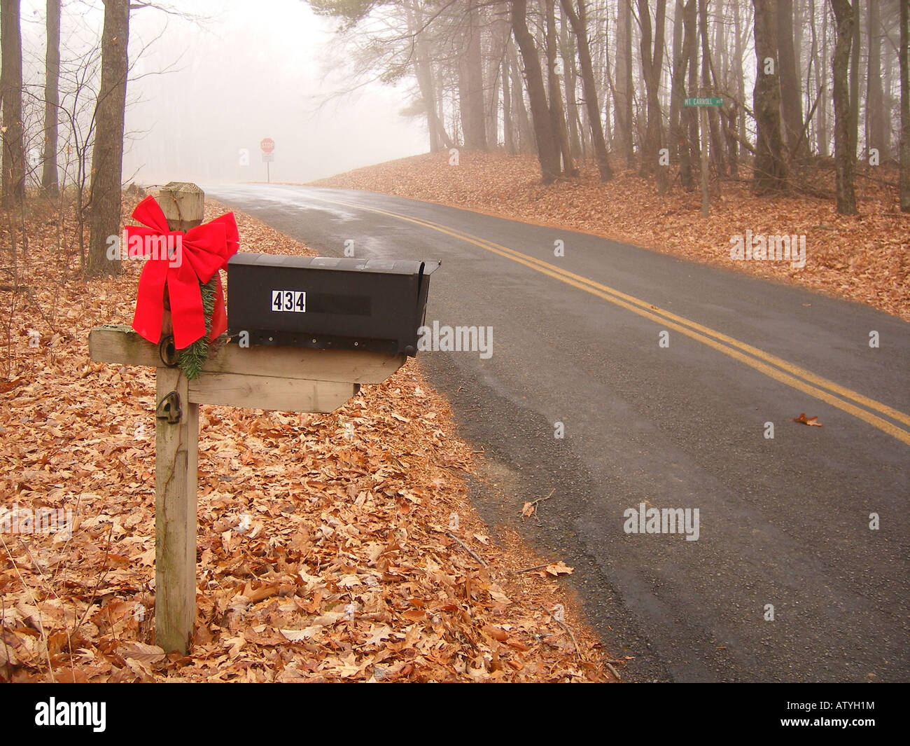 AJD59796, Postfach, Wohn, Road, Nebel, Galax, Virginia, VA Stockfoto