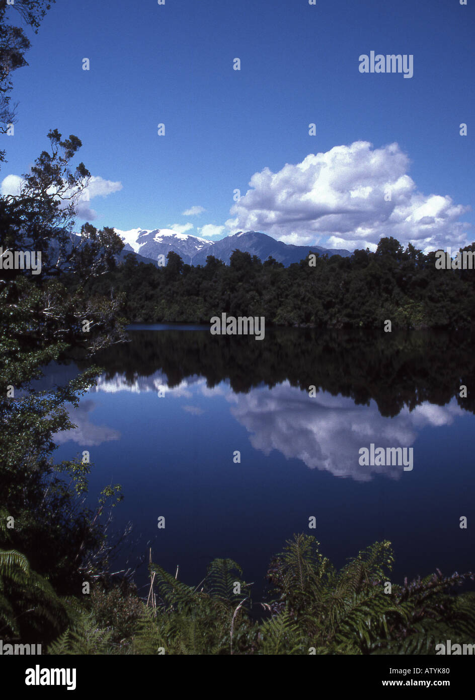 Lake Mapourika in der Nähe von Franz Josef auf der Südinsel Neuseelands Stockfoto