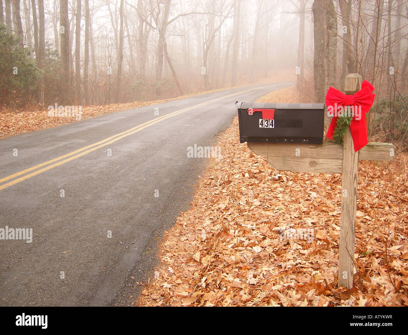 AJD59797, Postfach, Wohn, Road, Nebel, Galax, Virginia, VA Stockfoto