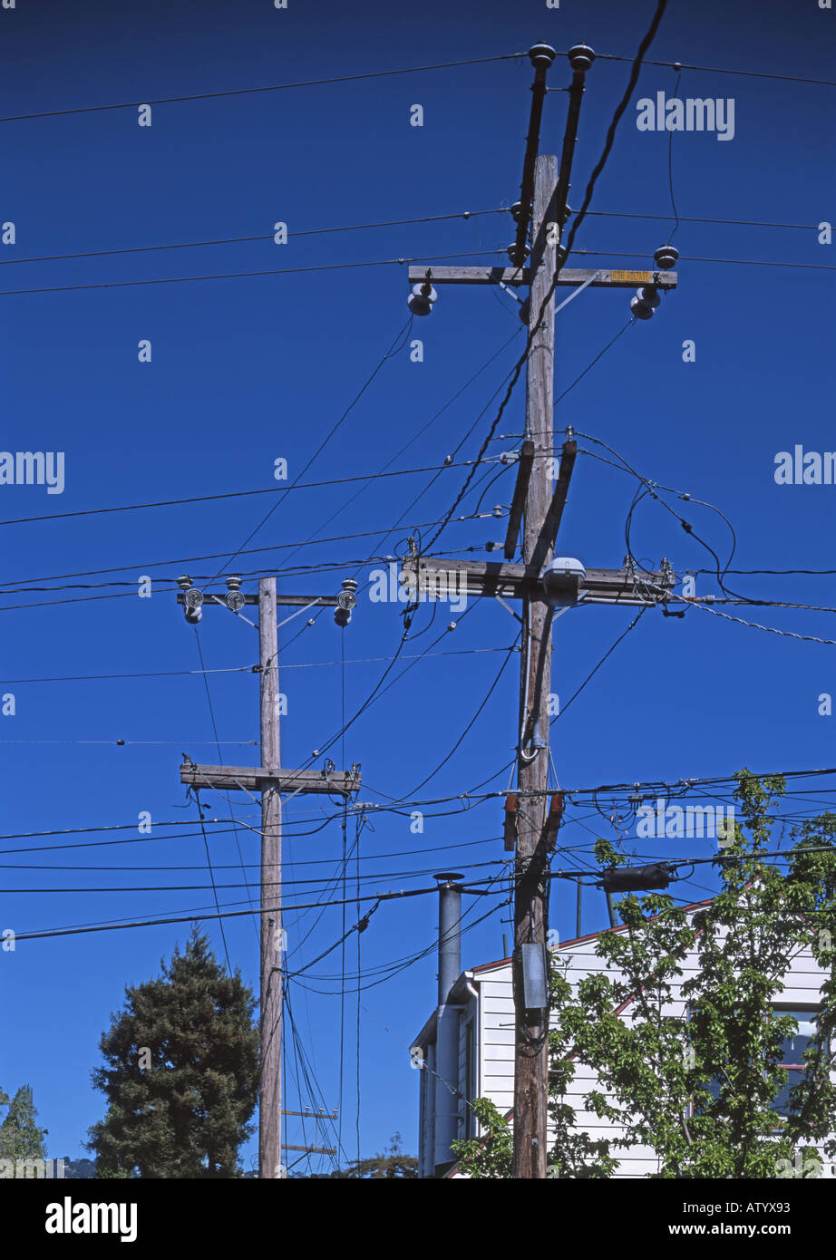 Hölzernen Telegrafenmasten mit Telefon und Strom Kabel, Piemont, Oakland, Kalifornien, USA Stockfoto