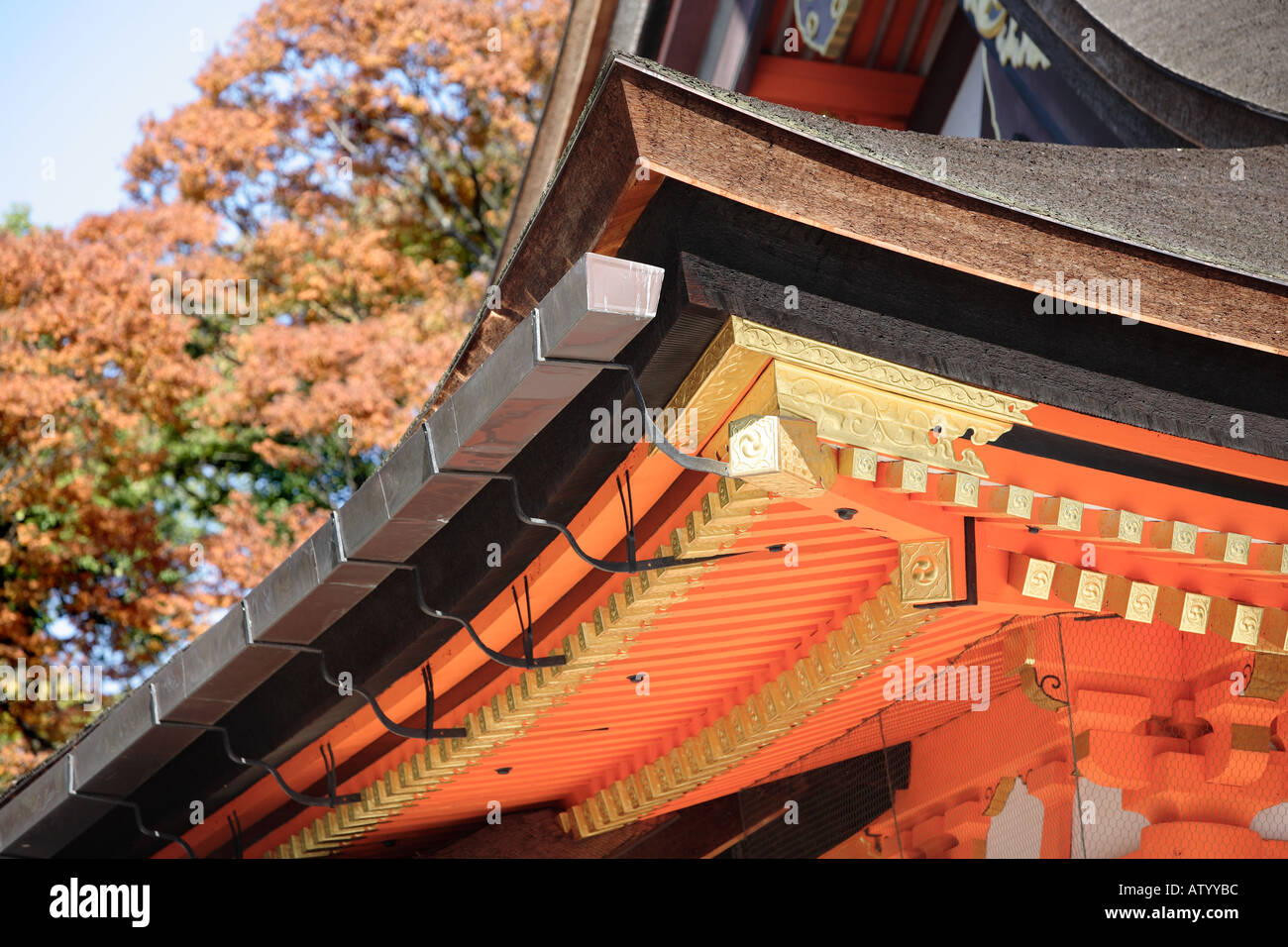 Herbstfärbung an der Yasaka-Schrein-Kyoto Stockfoto