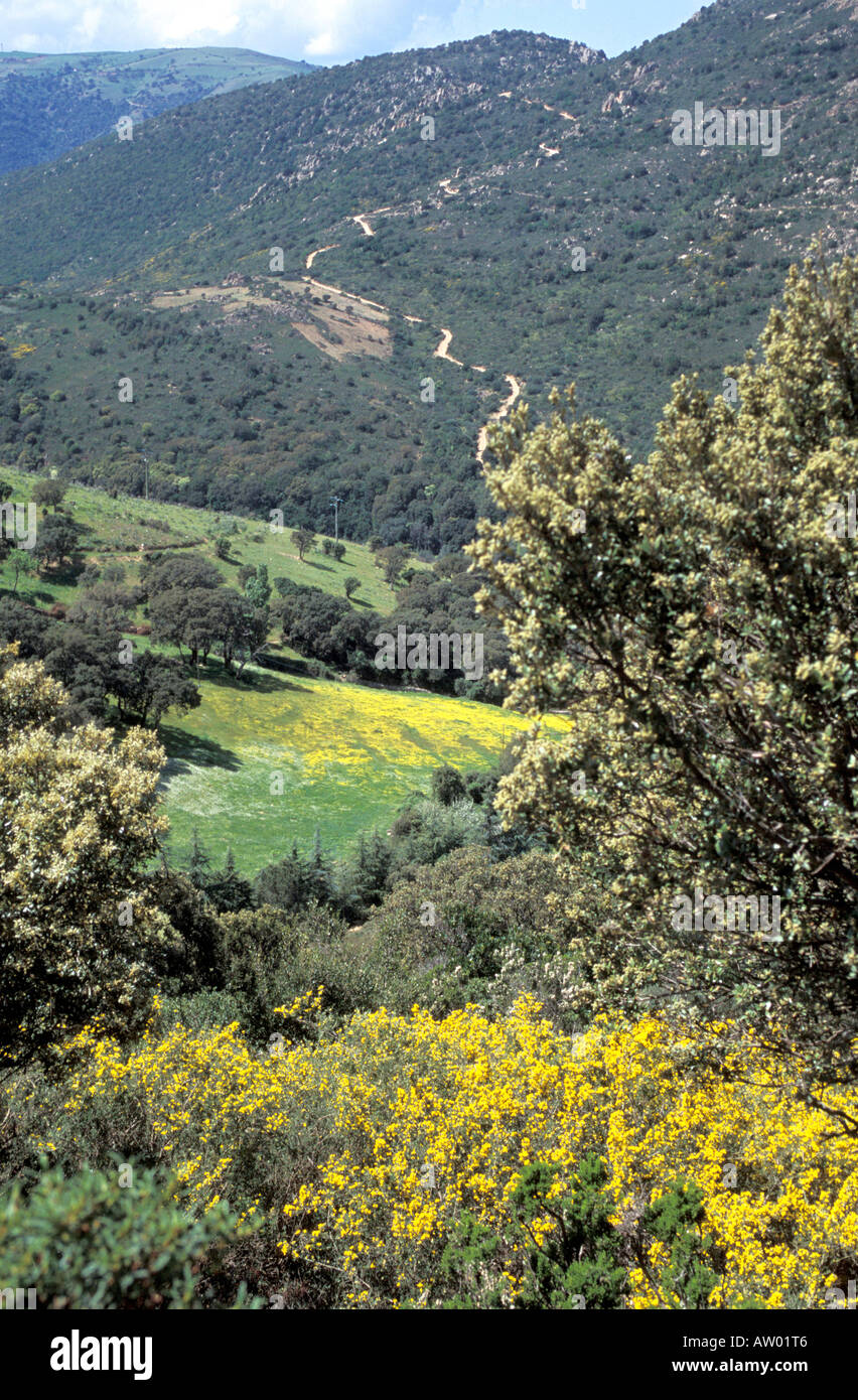 Im Landesinneren Aggius Sardinien Italien Stockfoto