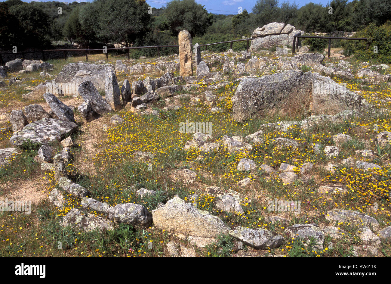 Li Muri Nekropole Arzachena Sardinien Italien Stockfoto