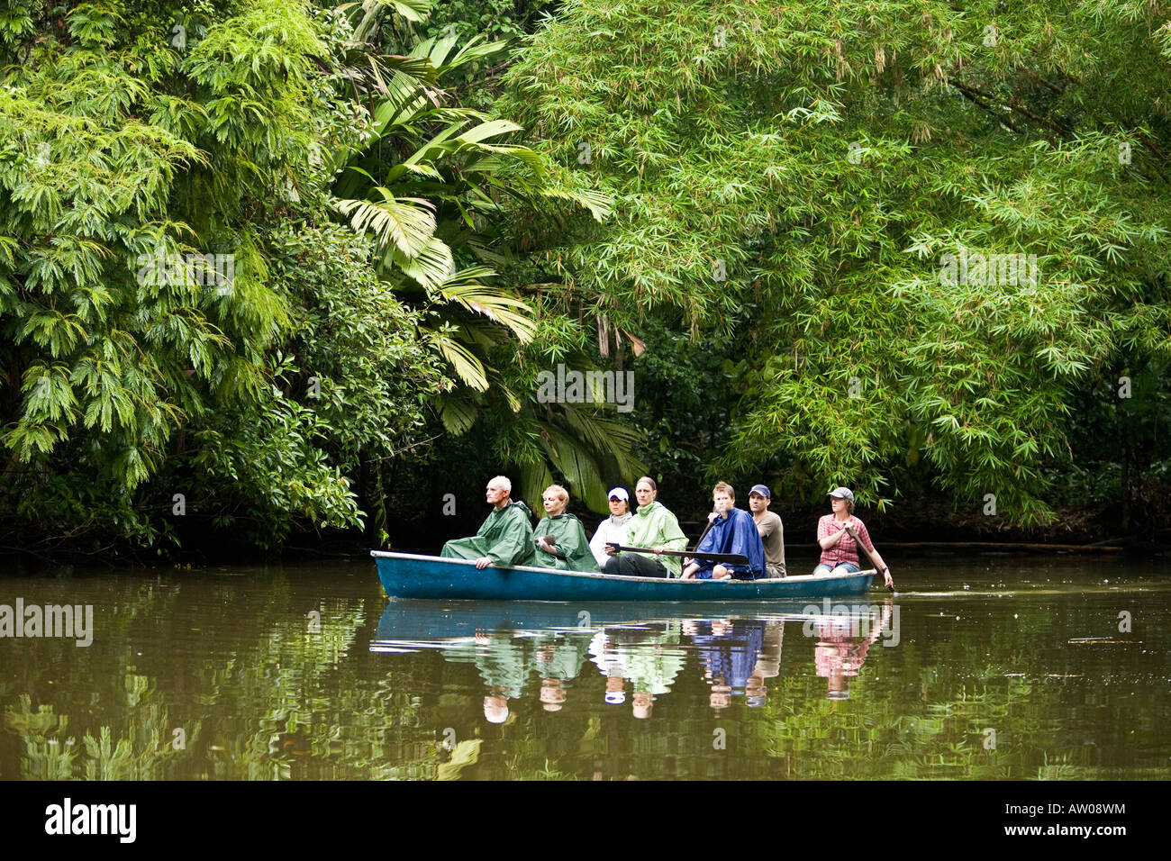 Touristen nehmen eine Tour am frühen Morgen des Tortuguero Nationalparks in Costa Rica Stockfoto