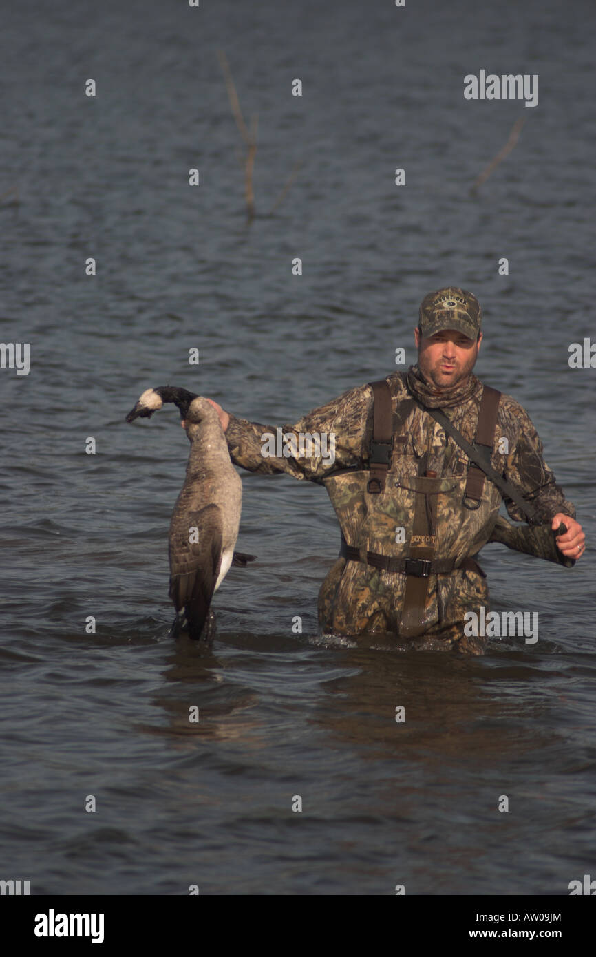 Mann geht mit einer Kanada-Gans er Wasservögel Jagd angeschossen Stockfoto