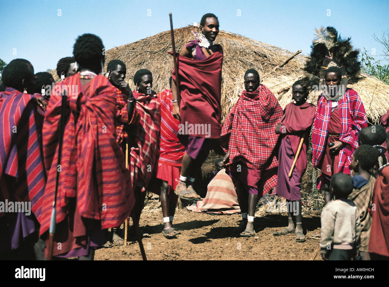 Massai-Krieger oder Moran in traditioneller Tanz Ngorongoro Krater Tansania Ostafrika Stockfoto