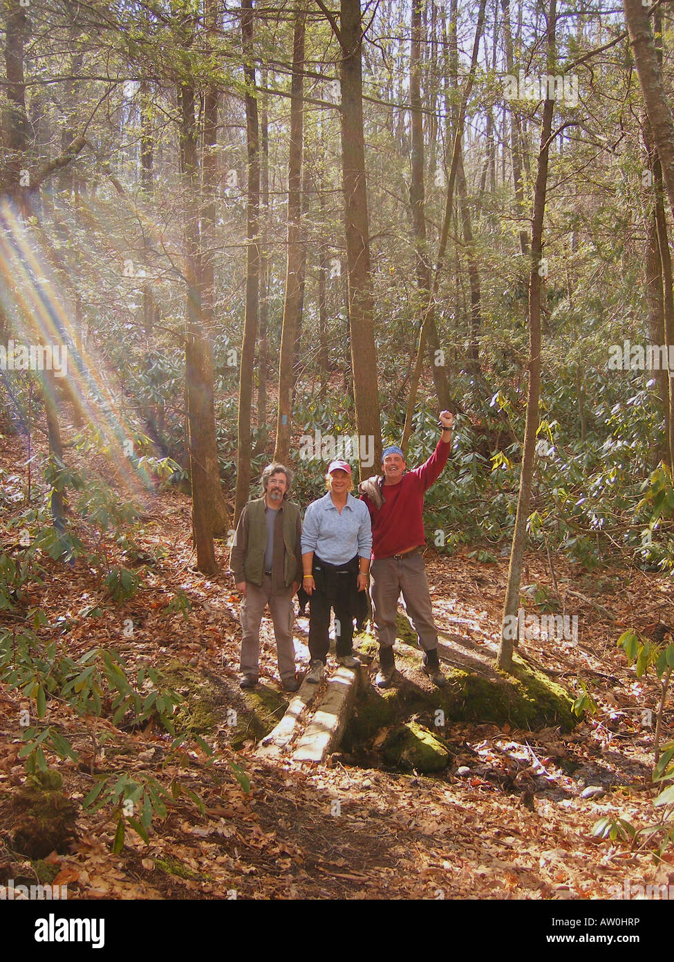 AJD59849, Wandern, Fisher Peak Loop Trail, Blue Ridge Parkway, Galax, Virginia, VA Stockfoto