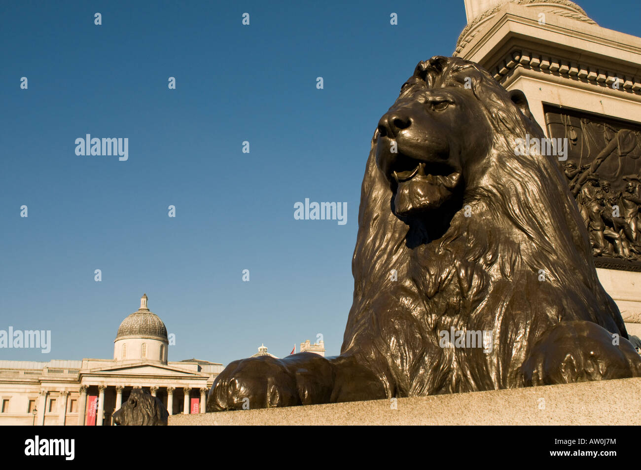 Löwen an der Basis der Nelsonsäule bei Sonnenuntergang in London England Stockfoto