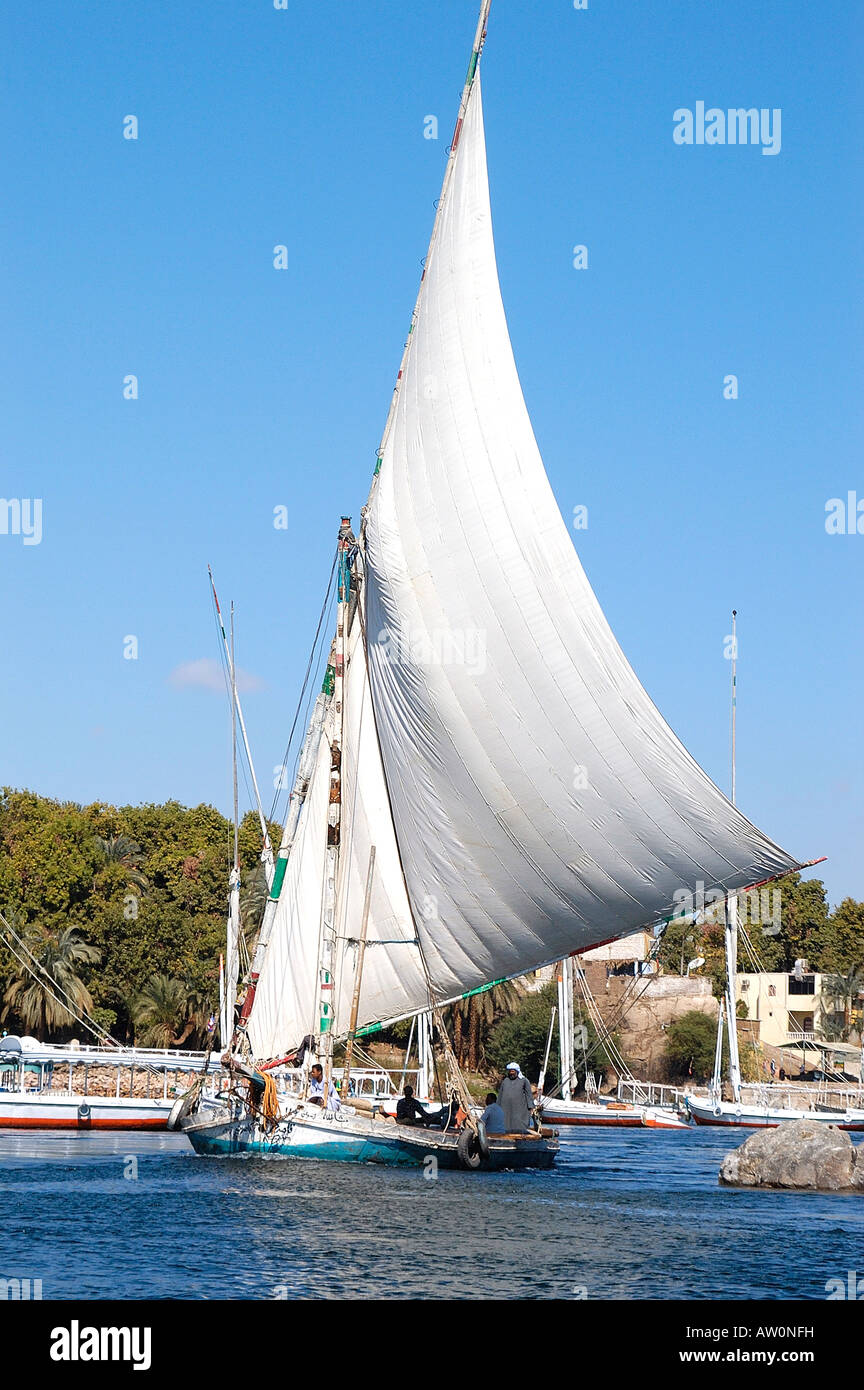 Traditionelle d. h. nicht touristische Feluke oder Segelboot in vollen Segeln die Passage entlang des Nil in Assuan, Ägypten Stockfoto