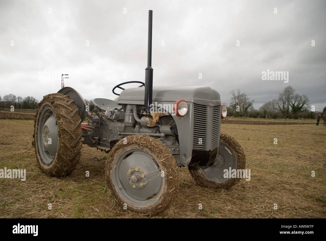 Massey Ferguson MF 35 FE35 Traktor 1955 (USA) 1956 (UK), wurde zu einem der beliebtesten Traktoren jemals veröffentlicht und ist heute noch im Einsatz Stockfoto