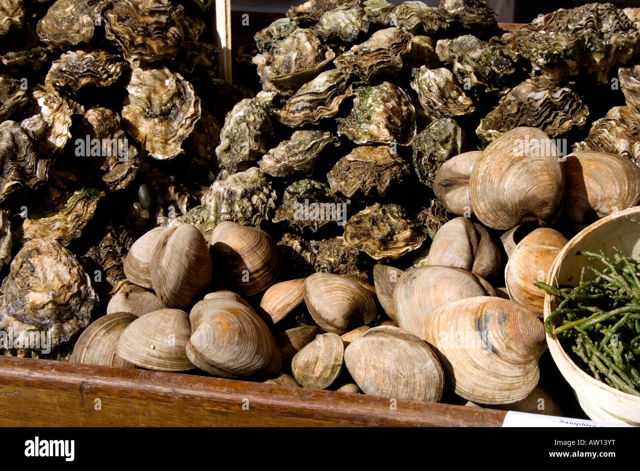 Austern und Muscheln zum Verkauf im Borough Market, London Stockfoto
