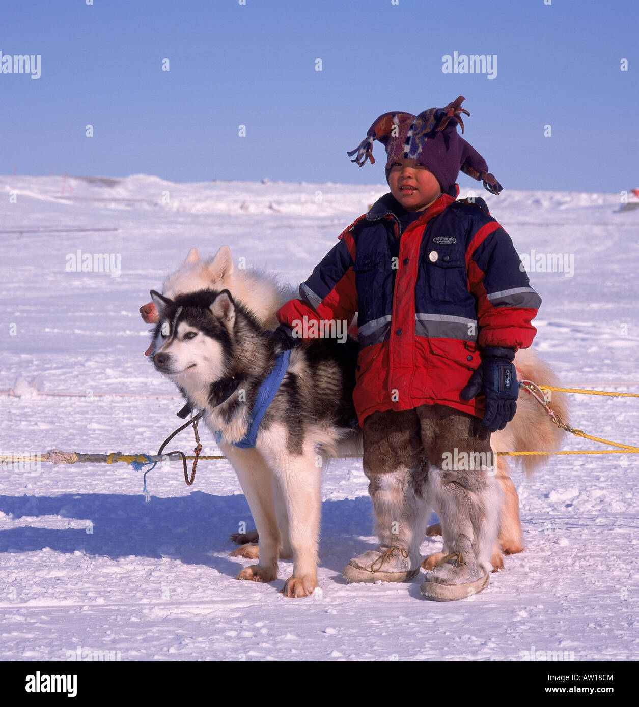Kupfer Inuits Kind mit Husky, Cambridge Bay, North West Territories, Kanada Stockfoto