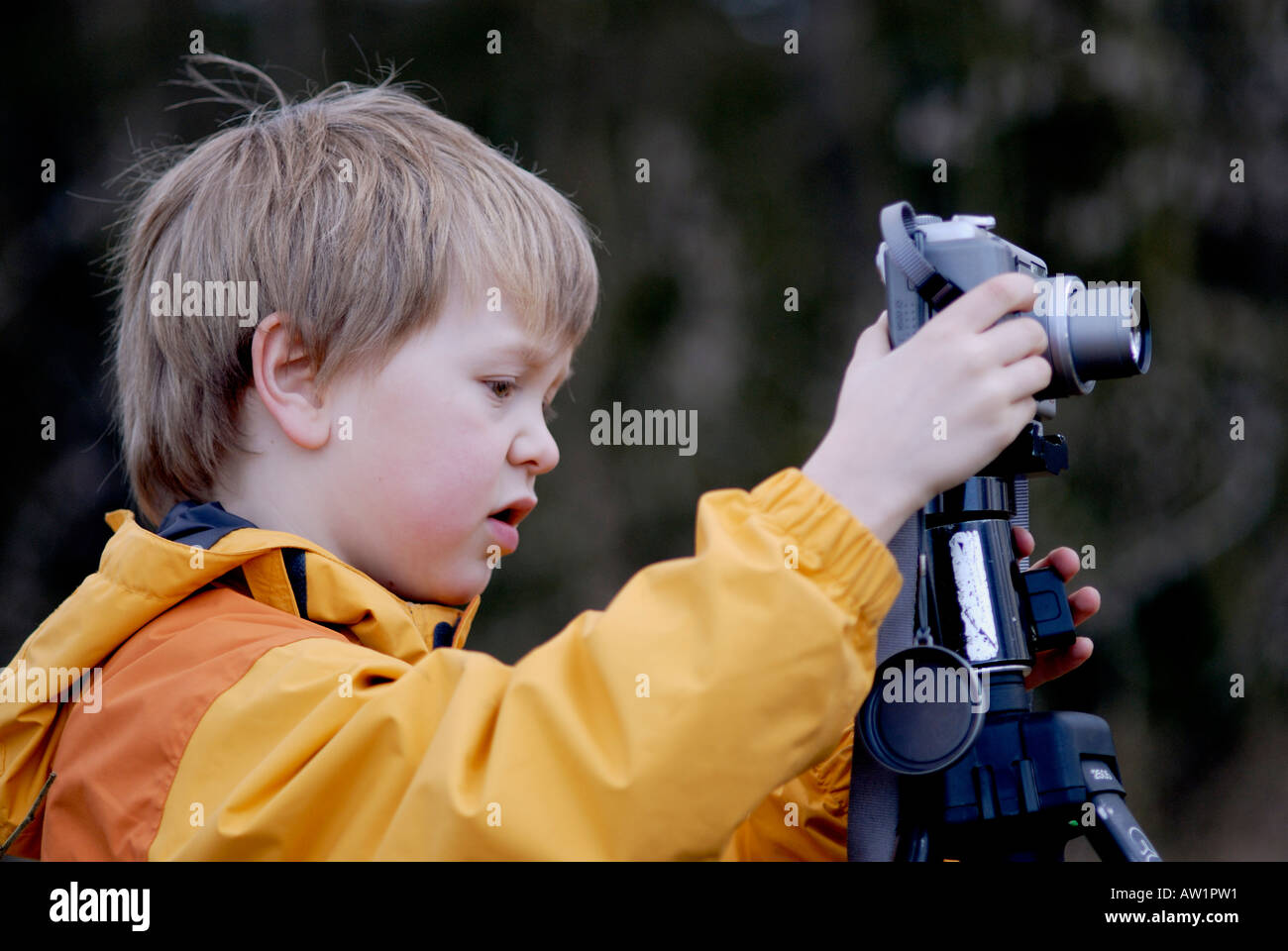 Junge, Fotografieren mit einer digitalen Kamera Stockfoto