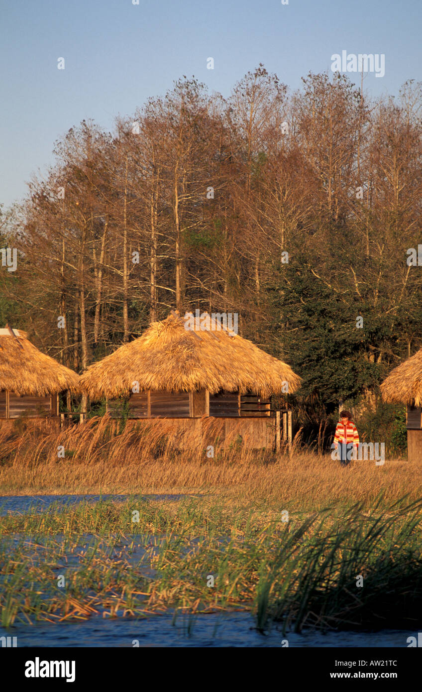 Florida Seminole indische traditionelle indische Chickees Stroh Dacharchitektur Wohnung Haus im alten Stil Stockfoto