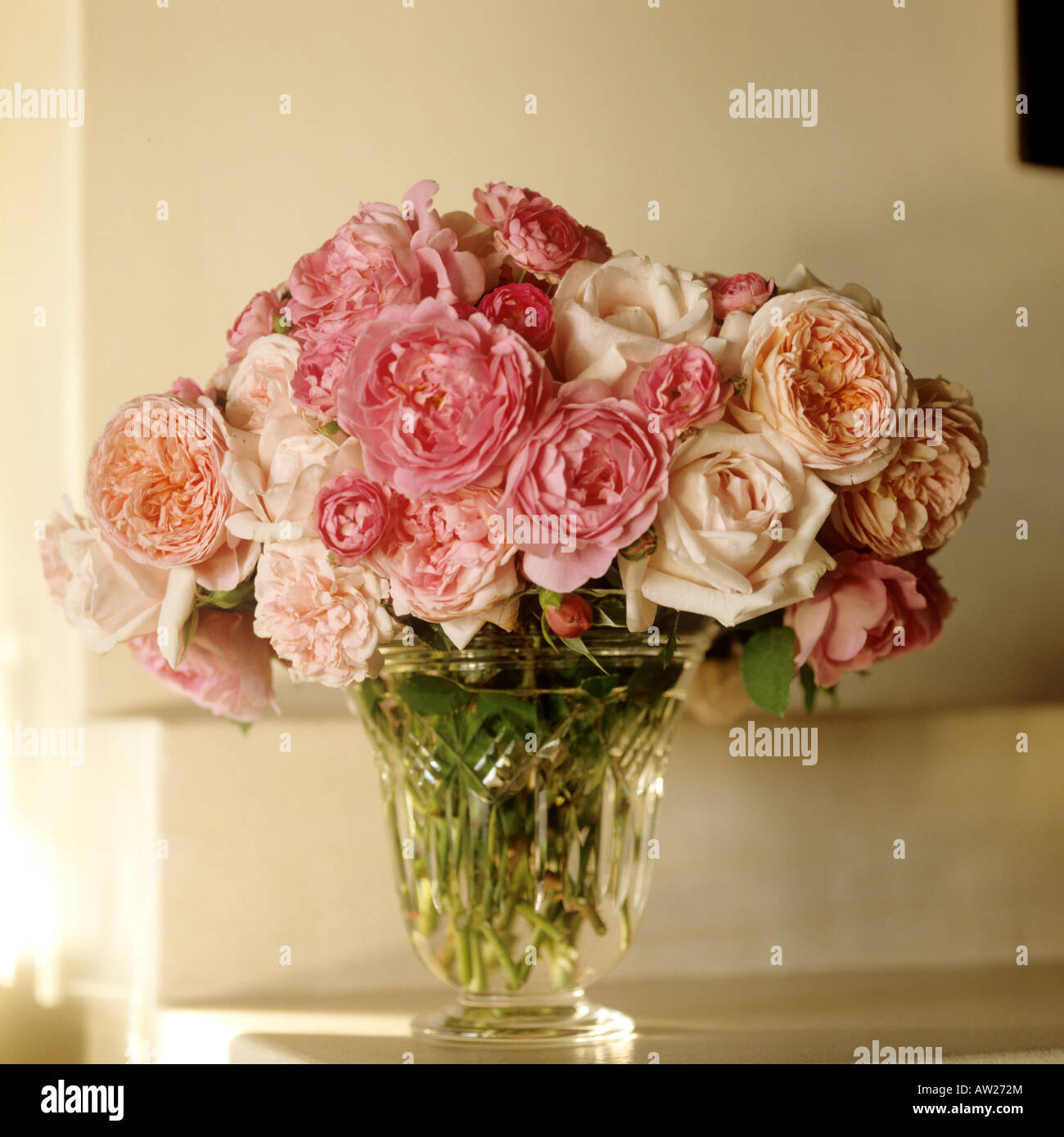 Glasvase mit frisch geschnittenen Rosen in verschiedenen Rosatönen Stockfoto