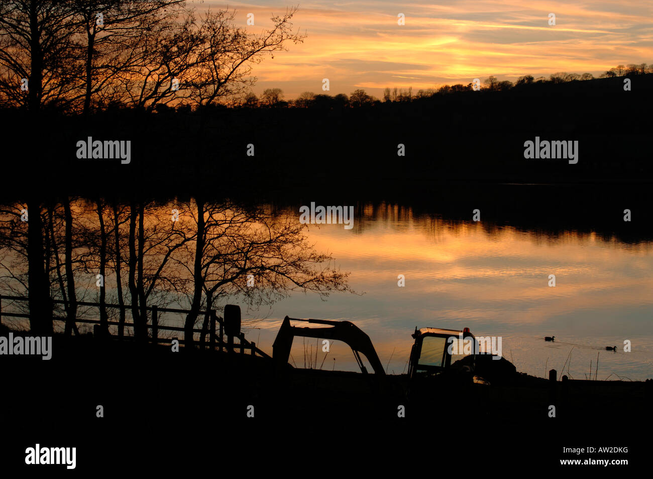 Eine mechanische Digger am Tittisworth Stausee geparkt. Stockfoto