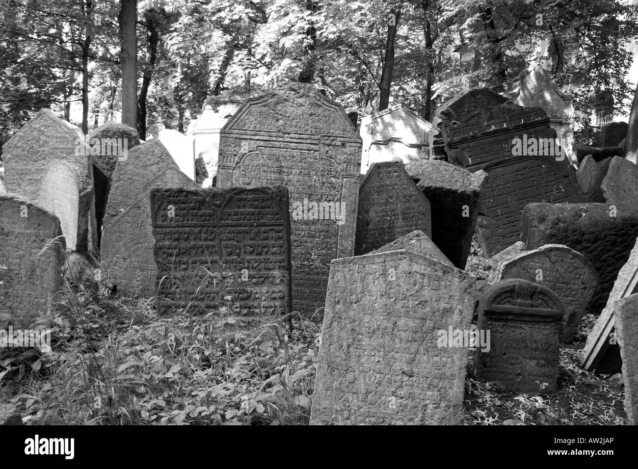 Grabsteine auf dem alten jüdischen Friedhof in Josefov Viertel von Prag, Tschechische Republik. Stockfoto