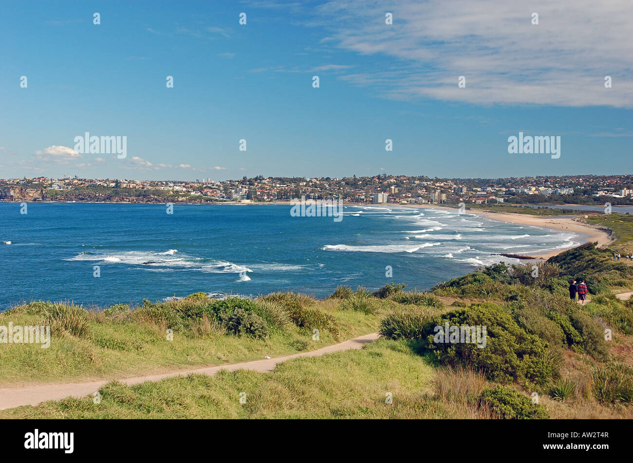 Dee warum Beach Australien Stockfoto