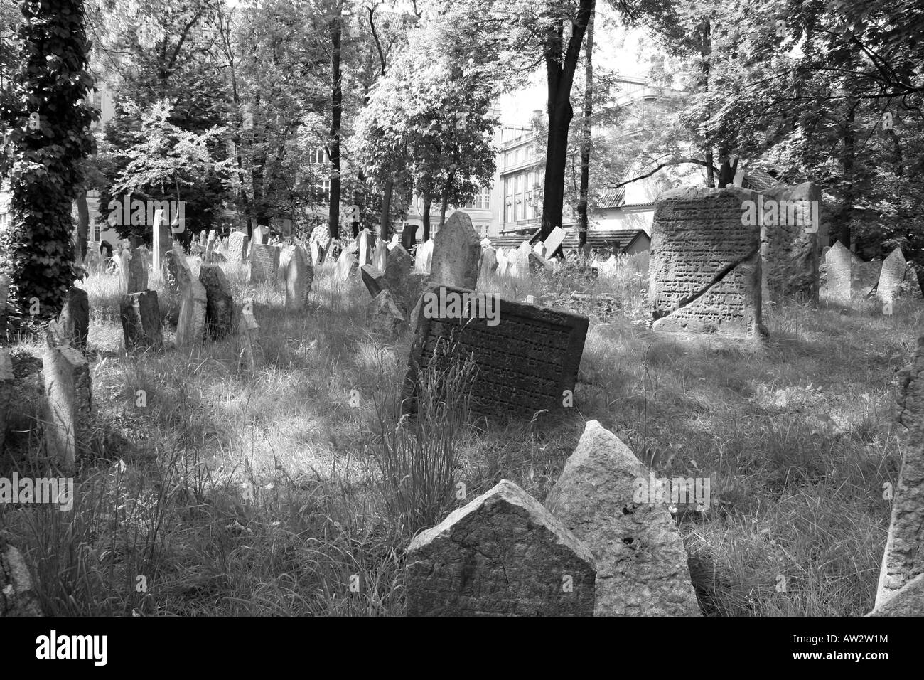 Grabsteine auf dem alten jüdischen Friedhof in Josefov Viertel von Prag, Tschechische Republik. Stockfoto