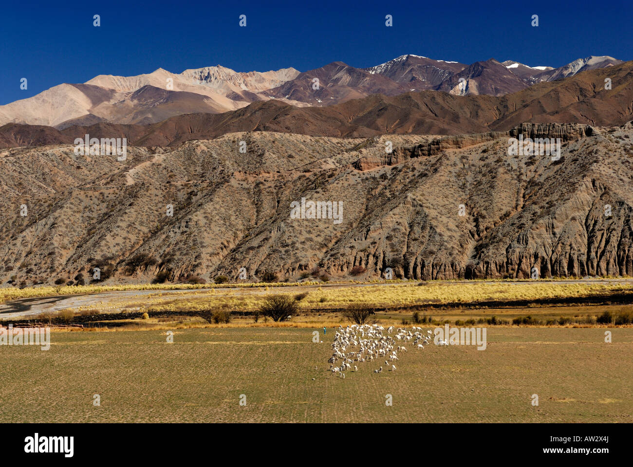 Stadt von Cachi in die Calchaqui Valley, Provinz Salta, Argentinien, Südamerika Stockfoto